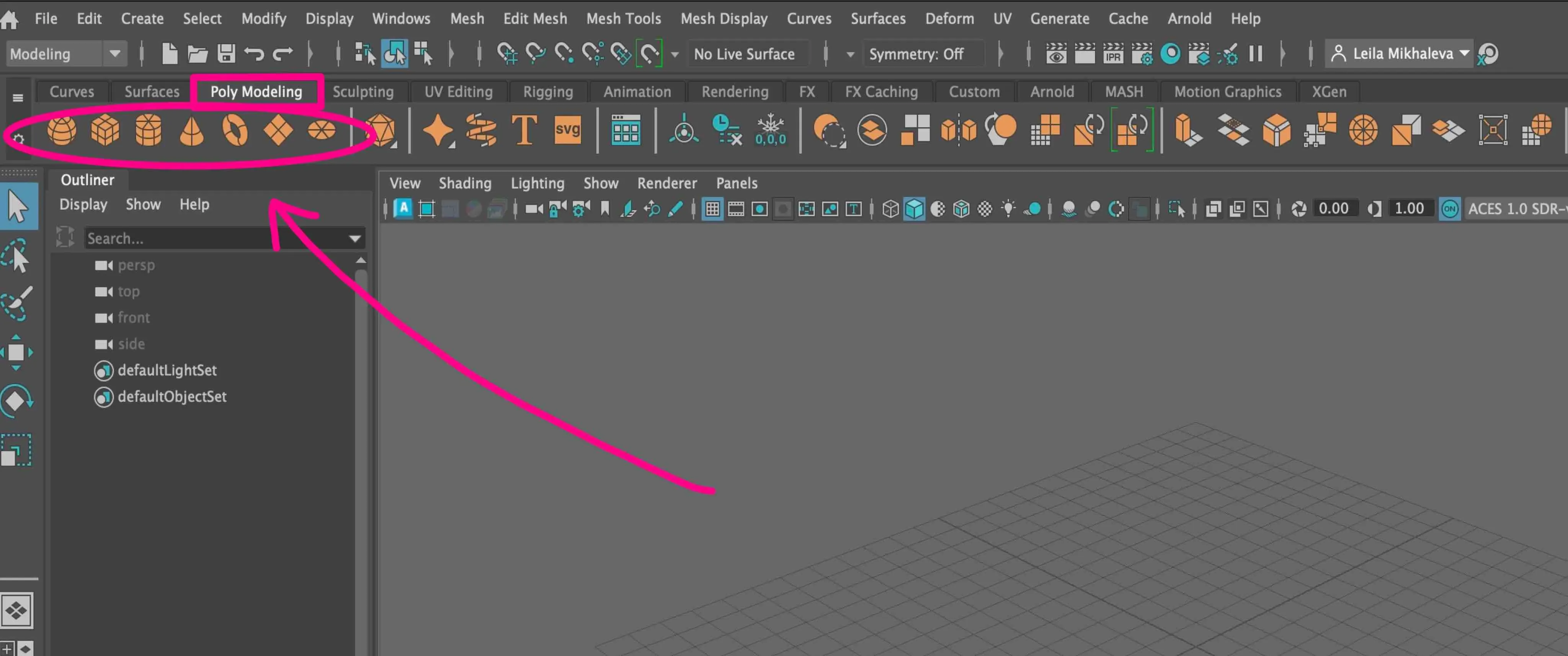 Autodesk Maya workspace overview showing the menu bar, shelf, viewport, channel box, and timeline
