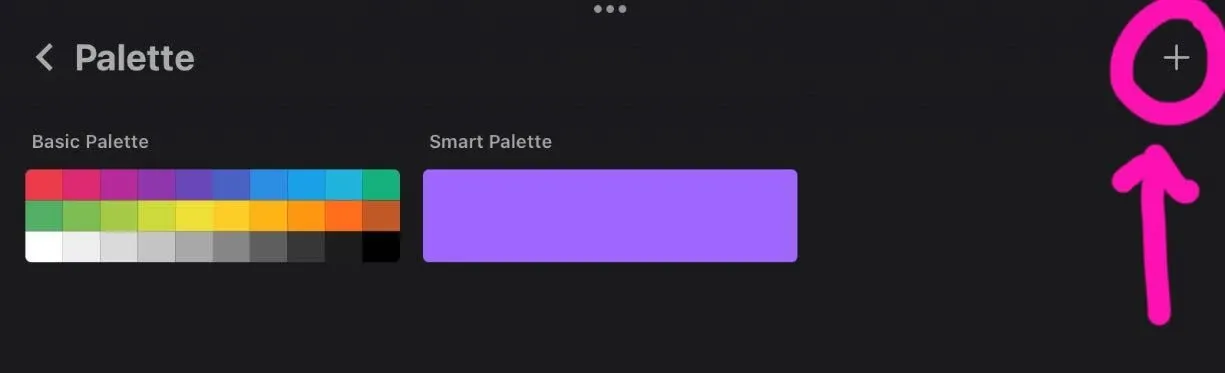 Corel Painter new-palette dialog showing the options to build a swatch set from a photo or imported file